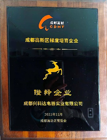 瞪羚企业